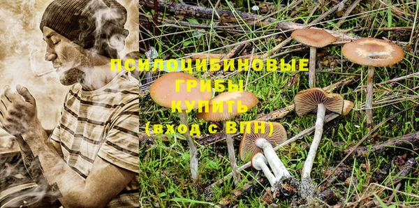PSILOCYBIN Абаза