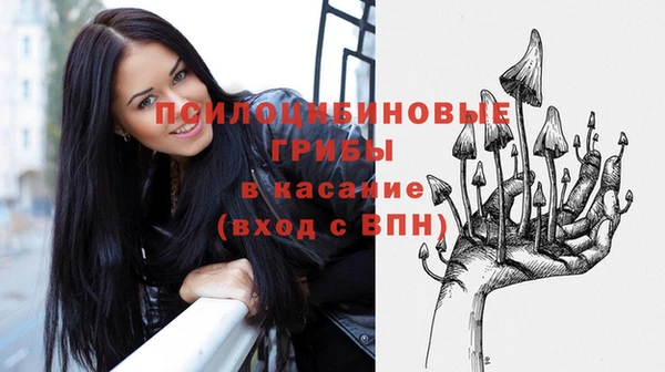 PSILOCYBIN Абаза