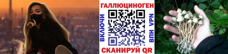 купить наркотики сайты  Азов  Галлюциногенные грибы мицелий 